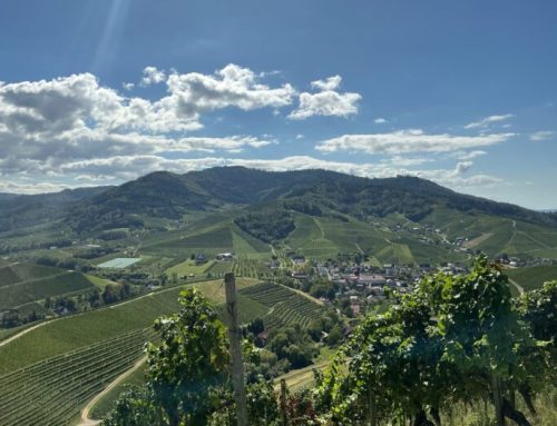 Wunderbarer Tag in Durbach